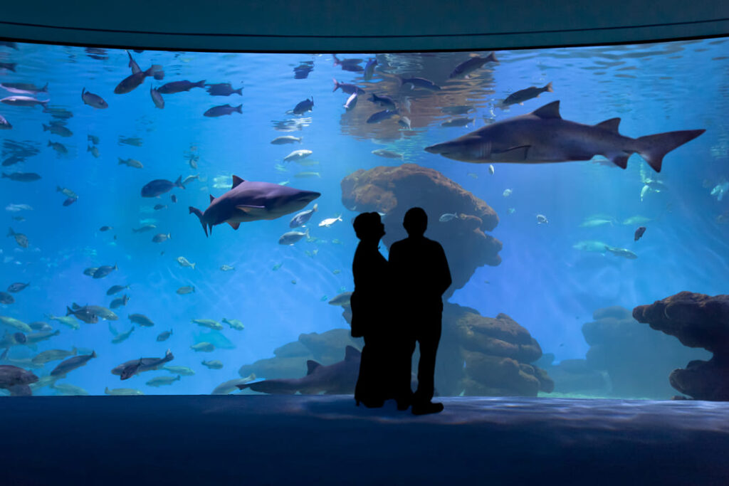 Palma Mallorca Aquarium Palma Mallorca Aquarium